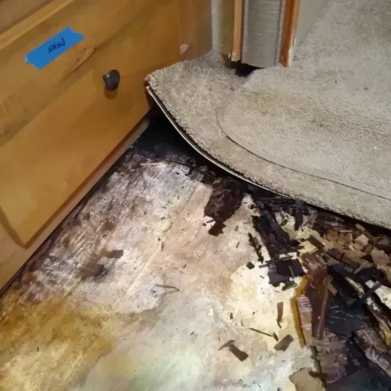 Wood Floor Water Damage in Covington, KY